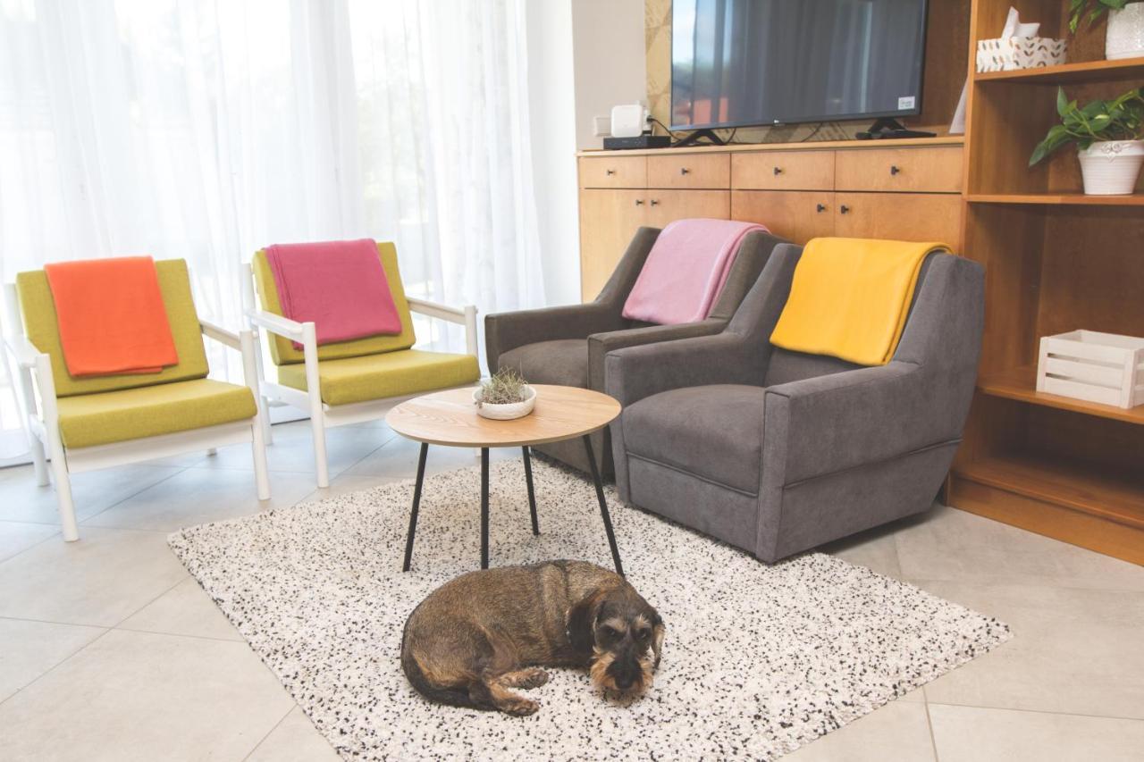Dioliget Apartment Ohid Bagian luar foto