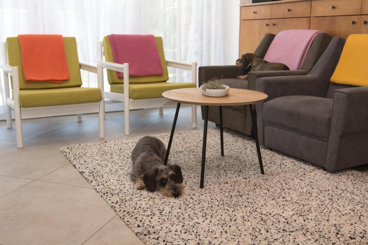 Dioliget Apartment Ohid Bagian luar foto